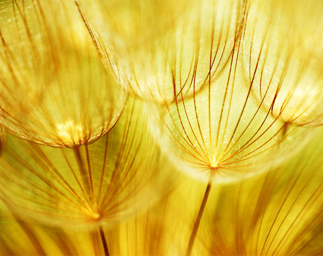 Landendinger Unternehmensberatung